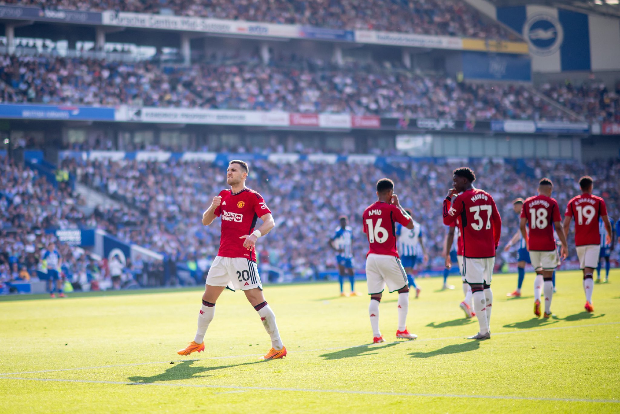 观赛的球迷 观赛的球迷